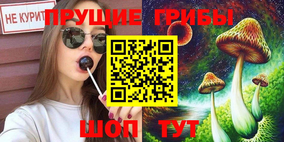 Псилоцибиновые грибы Psilocybe Электросталь