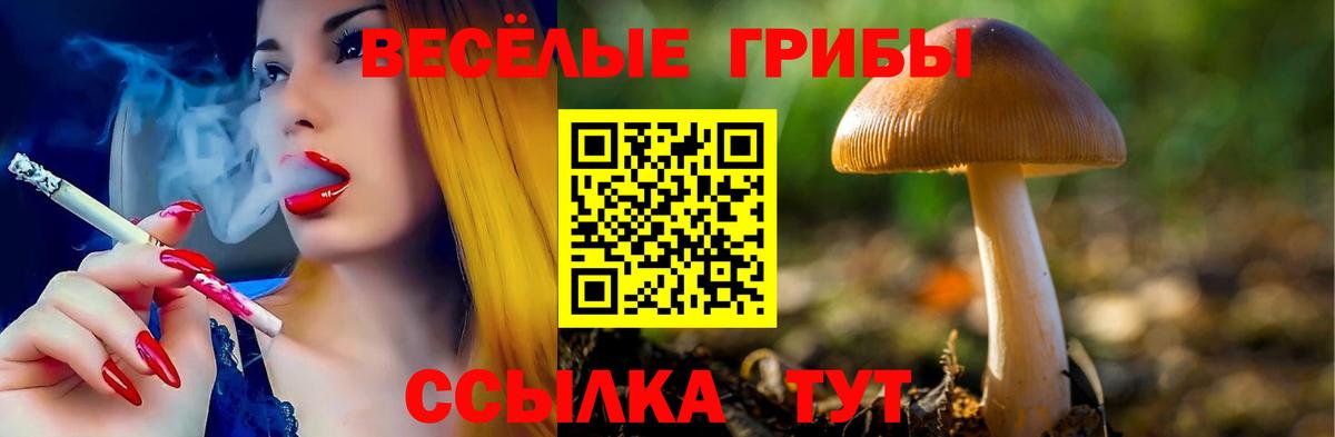 Электросталь  как найти закладки  Вход с VPN  Псилоцибиновые грибы мухоморы 